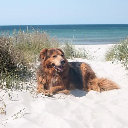 Wellenreiter * Stahlbrode