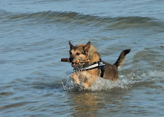 Дом отдыха Wellenreiter Stahlbrode